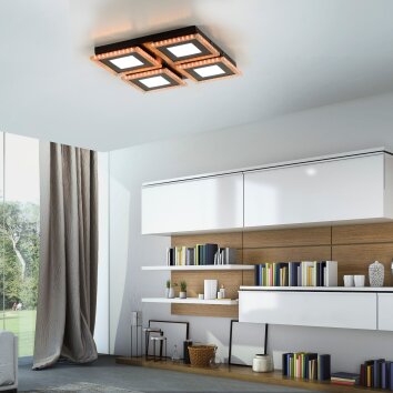 Leuchten-Direkt ACRI Ceiling Light LED black, 2-light sources, Remote control