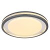 GLOBOTERPSA Ceiling Light LED grey, white, 1-light source, Remote control