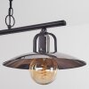 Weissport Pendant Light black, 2-light sources
