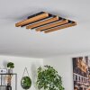 FAVORINA Ceiling Light LED Ecru, black, 1-light source