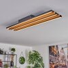 FAVORINA Ceiling Light LED Ecru, black, 1-light source