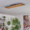 FAVORINA Ceiling Light LED Ecru, black, 1-light source