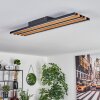 FAVORINA Ceiling Light LED Ecru, black, 1-light source