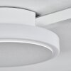 AMDAL Ceiling Light LED white, 2-light sources