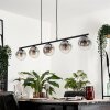 GASTOR Pendant Light - glass clear, Smoke-coloured, 5-light sources