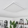 HOTINHAS Ceiling Light LED white, 1-light source, Remote control, Colour changer