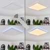HOTINHAS Ceiling Light LED white, 1-light source, Remote control, Colour changer