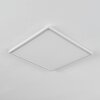 HOTINHAS Ceiling Light LED white, 1-light source, Remote control, Colour changer