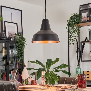 AIGLE Pendant Light black, 1-light source