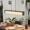 SIDERS Pendant Light LED black, 1-light source, Colour changer