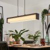SIDERS Pendant Light LED black, 1-light source, Colour changer