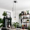 LEMONE Pendant Light black, 1-light source