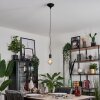 LEMONE Pendant Light black, 1-light source