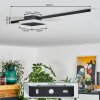AMDAL Ceiling Light LED black, white, 2-light sources