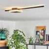 AMDAL Ceiling Light LED black, white, 2-light sources