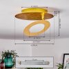 SUNRISE Ceiling Light LED gold, 1-light source