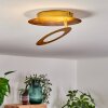 SUNRISE Ceiling Light LED gold, 1-light source