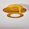 SUNRISE Ceiling Light LED gold, 1-light source