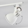 SALINAS Ceiling Light LED white, 4-light sources