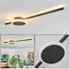 AMDAL Ceiling Light LED black, 2-light sources