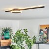 AMDAL Ceiling Light LED black, 2-light sources