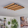 FAVORINA Ceiling Light LED Ecru, black, 1-light source, Remote control