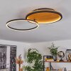 CARDOZO Ceiling Light LED Ecru, black, 1-light source