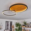CARDOZO Ceiling Light LED Ecru, black, 1-light source