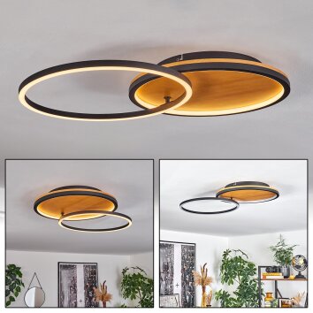 CARDOZO Ceiling Light LED Ecru, black, 1-light source