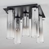 CAIMITTE Ceiling Light black, 5-light sources