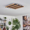 FAVORINA Ceiling Light LED Ecru, black, 1-light source