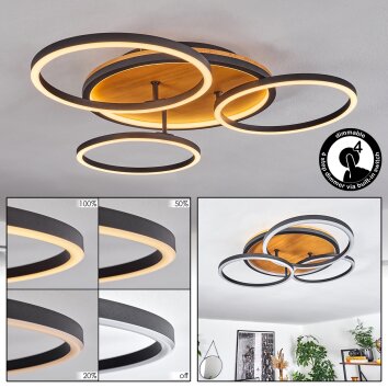 CARDOZO Ceiling Light LED Ecru, black, 1-light source