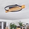 CARCANO Ceiling Light LED Ecru, black, 1-light source