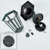 LORIA Outdoor Wall Light green, black, 1-light source