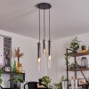 CAIMITTE Pendant Light clear, Smoke-coloured, 3-light sources