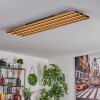 FAVORINA Ceiling Light LED Ecru, black, 1-light source, Remote control