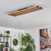 FAVORINA Ceiling Light LED Ecru, black, 1-light source