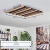 FAVORINA Ceiling Light LED Ecru, black, 1-light source, Remote control
