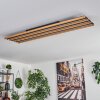 FAVORINA Ceiling Light LED Ecru, black, 1-light source