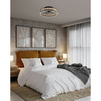 Eglo FRANA ceiling fan LED black, 1-light source, Remote control