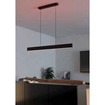 Eglo ANDREAS-Z Pendant Light LED black, 2-light sources, Colour changer