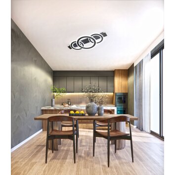 Fischer & Honsel CIRCLE Ceiling Light LED black, 1-light source, Remote control