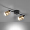 Fischer & Honsel VANO Ceiling Light LED black, 2-light sources