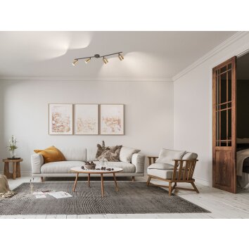 Fischer & Honsel VANO Ceiling Light LED black, 4-light sources