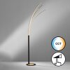 Fischer & Honsel ELLMAU Floor Lamp LED black, 1-light source