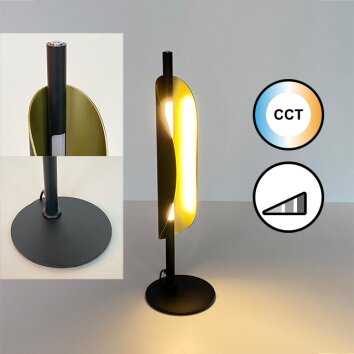 Fischer & Honsel SKAL Table lamp LED black, 1-light source