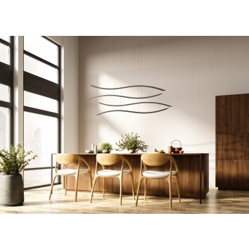 Fischer & Honsel FISK Pendant Light LED black, 1-light source, Remote control