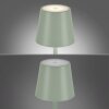 Leuchten-Direkt EURIA Table lamp LED green, 1-light source
