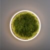 JUST LIGHT GERDA RITUS Ceiling Light LED black, 1-light source