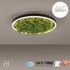 JUST LIGHT GERDA RITUS Ceiling Light LED black, 1-light source